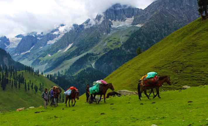 Budget Holiday Packages Kashmir