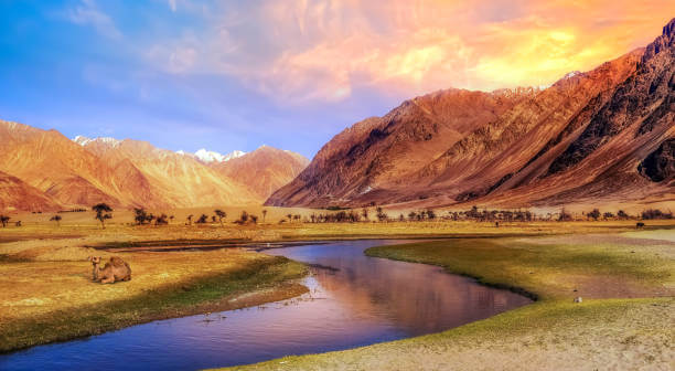 Best Selling Leh Ladakh Tour Packages with Nubra Valley