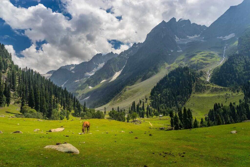 Best Time To Visit Jammu and Kashmir