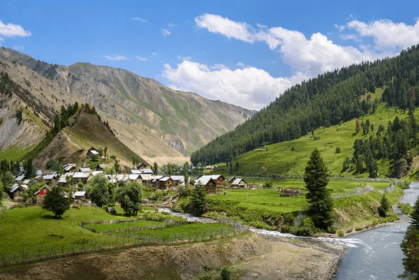 tours and travels in kashmir