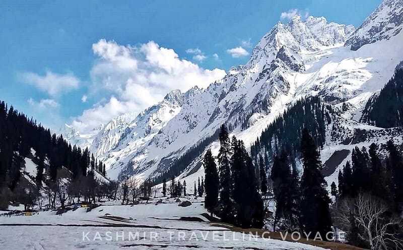 Kashmir Travelling Voyage Travel and Tours Sonmarg-Mountain