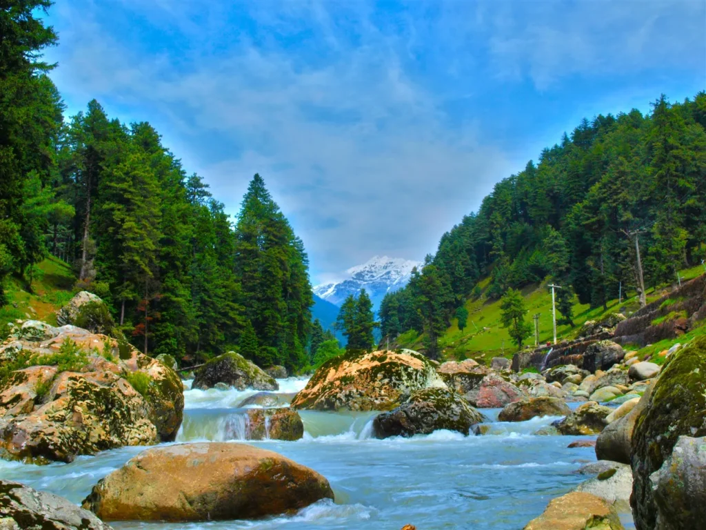 Kashmir 4 Nights 5 Days Tour Package