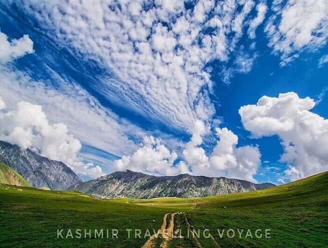 Best Tour Package Kashmir