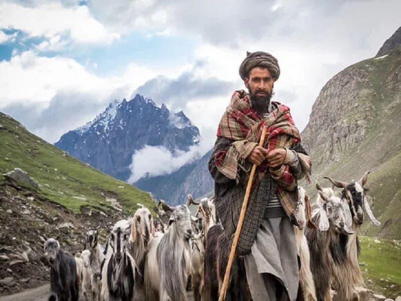 5 Nights 6 Days Kashmir Package Tour