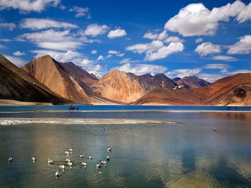 Budget Ladakh Tour Packages