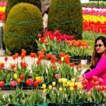 Kashmir Lavish Holiday Packages