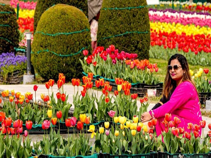 Kashmir Lavish Holiday Packages