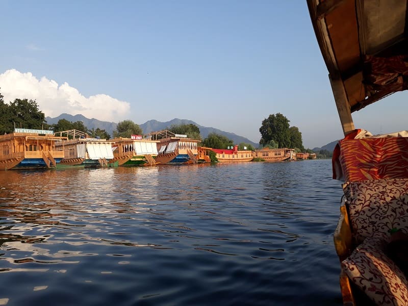 Dal Lake Srinagar Swimming Tour