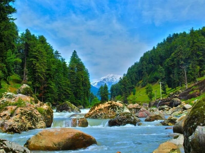 Kashmir 4 Nights 5 Days Tour Package 