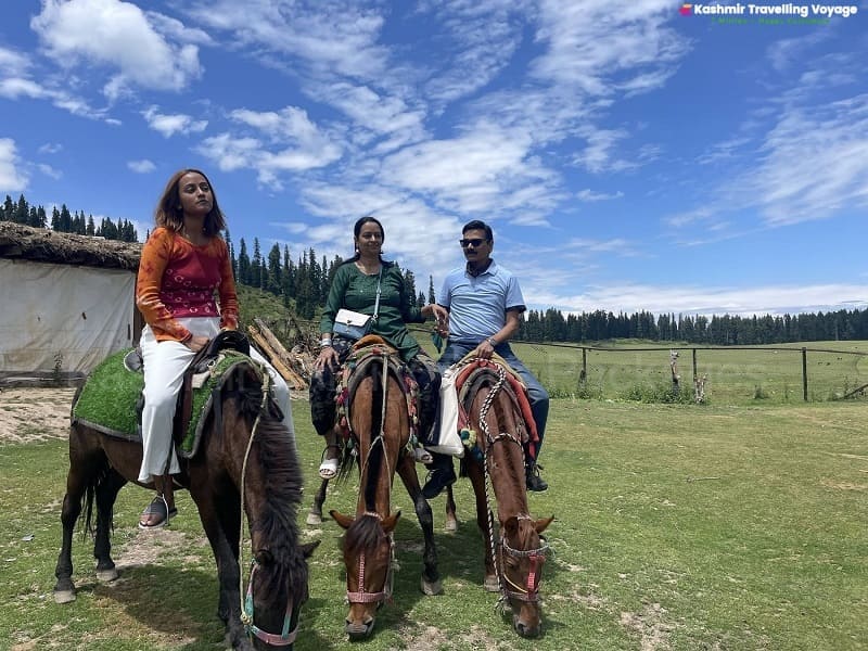 Kashmir Family Tour  Packages